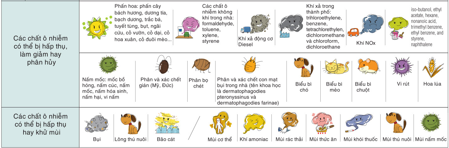 loc_khong_khi_daikin_hieu_qua2