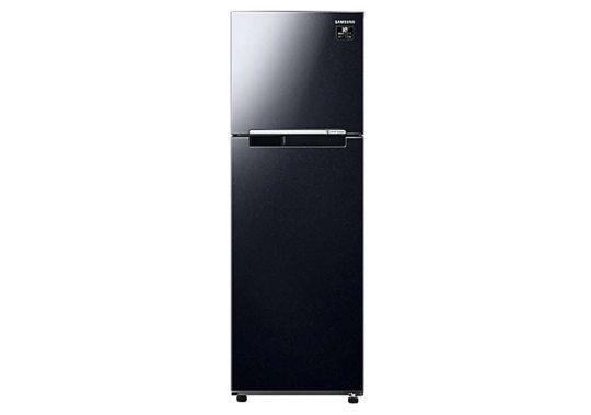 Tủ lạnh Samsung Inverter 256 lít RT25M4032BU/SV