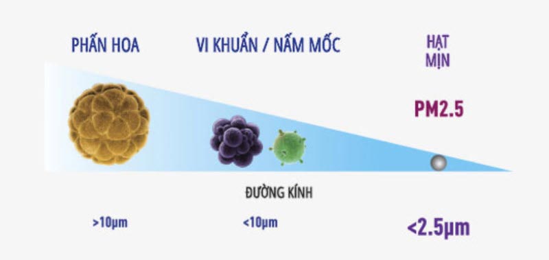 bui-min-pm25