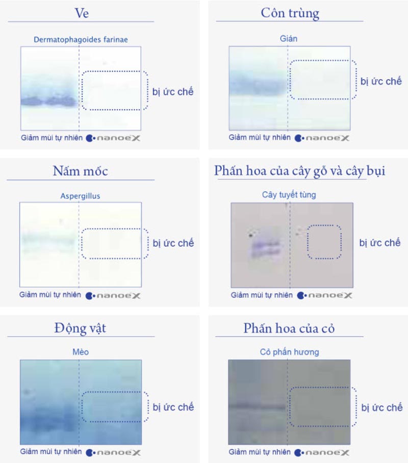 tac-dung-chat-di-ung