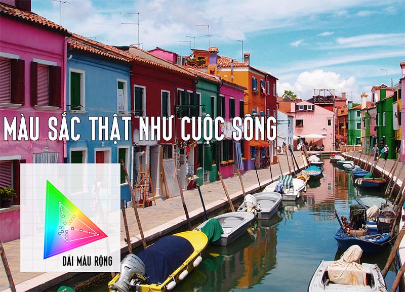 Dải màu rộng cho màu sắc chân thực Dải màu rộng cho màu sắc chân thực