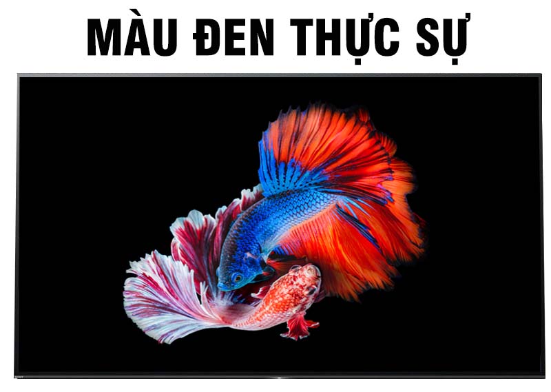 Màu đen thật sự nâng màu sắc trung thực Màu đen thật sự nâng màu sắc trung thực