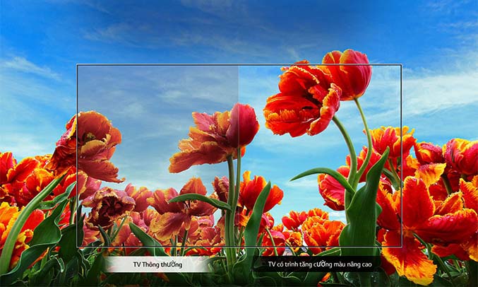 Tivi LED LG 43 inch 43LM6300PTB hình ảnh tuyệt đẹp