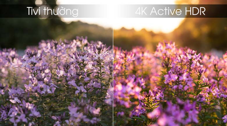 Smart Tivi LG 4K 43 inch 43UM7300PTA - 4K Active HDR Smart Tivi LG 4K 43 inch 43UM7300PTA - 4K Active HDR