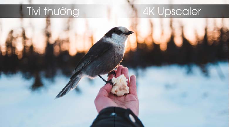 Smart Tivi LG 4K 43 inch 43UM7400PTA - 4K Upscaler Smart Tivi LG 4K 43 inch 43UM7400PTA - 4K Upscaler