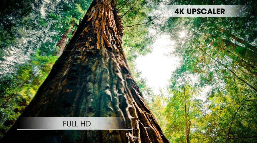 Smart Tivi LG 4K NanoCell 65 Inch 65SK8500PTA Smart Tivi LG 4K NanoCell 65 Inch 65SK8500PTA