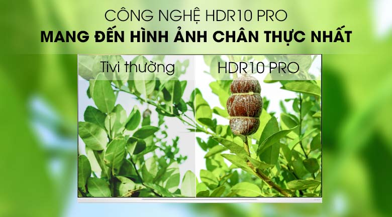 HDR10 Pro - Smart Tivi OLED LG 4K 55 inch 55E9PTA Mẫu 2019