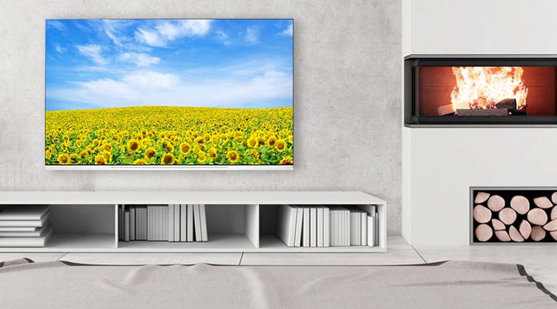 Smart Tivi OLED LG 4K 65 inch 65E9PTA có thiết kế tính tế, sang trọng