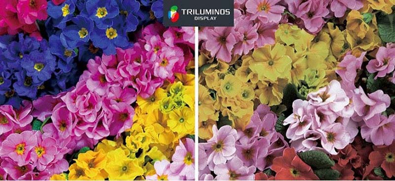 Công nghệ TRILUMINOS TM Display Công nghệ TRILUMINOS TM Display