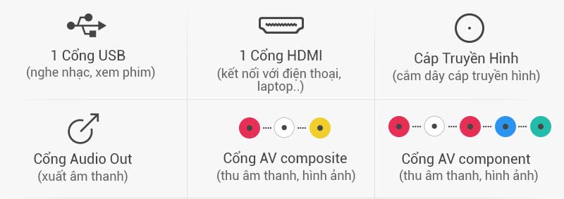 Tivi LG 49 inch 49LH511T - Kết nối
