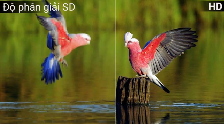 Độ phân giải HD Độ phân giải HD